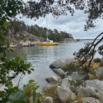 Kalvholmarna