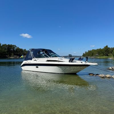 Sea Ray 250