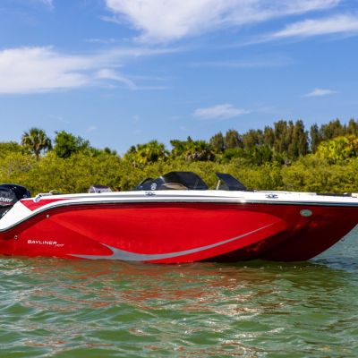 Bayliner Element M19