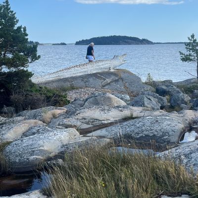 Rögrund