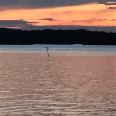 Sandhamn - Telegrafholmen