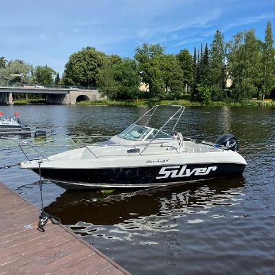 Silver 650 Eagle Wa