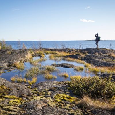 Norrlandskusten