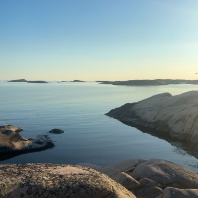 Trinisla, Gåsön