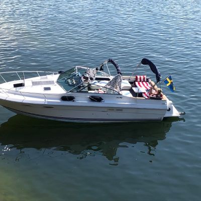 Sea Ray 270 Amberjack