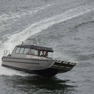 Arronet 30 Surprise Work