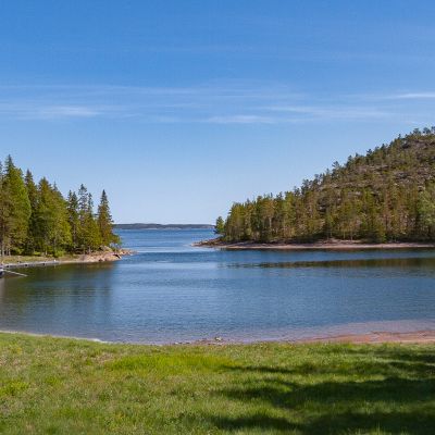 Baggviken
