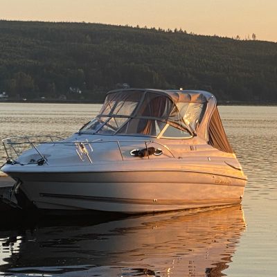 Wellcraft 2600 Martinique