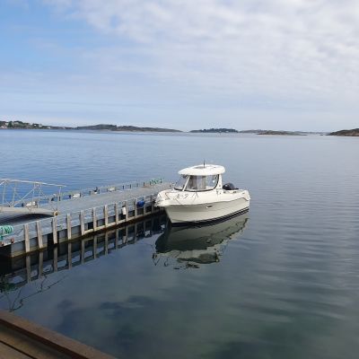 Quicksilver 580 Pilothouse