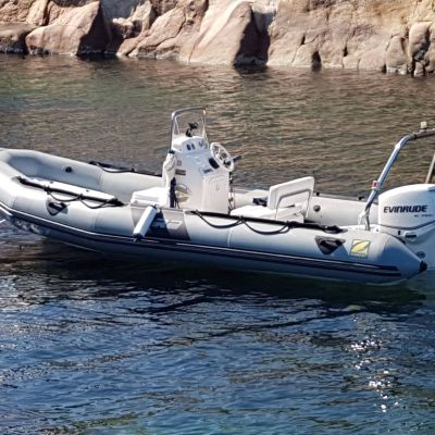 Zodiac 550 Pro