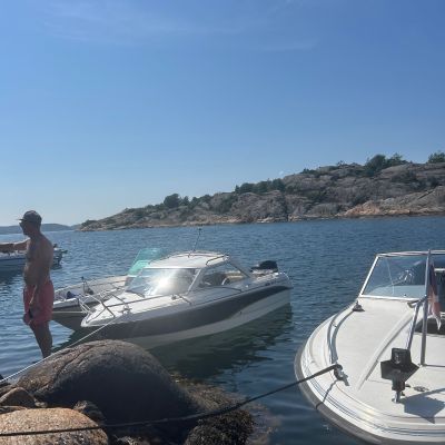 Hälsön