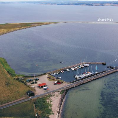 Skarø