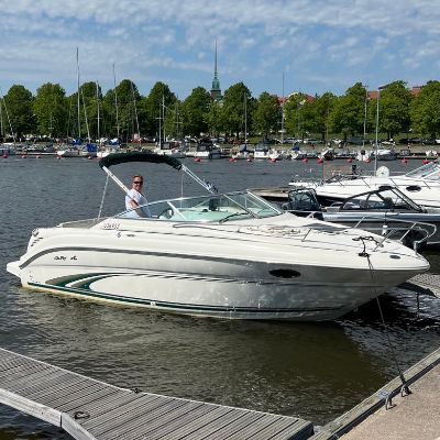 Sea Ray 245 Weekender