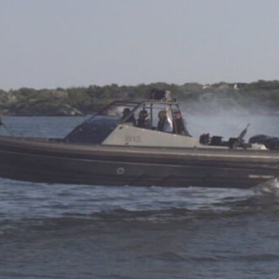 Goldfish M12