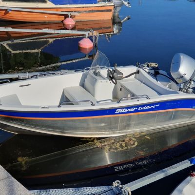 Silver Colibri 405