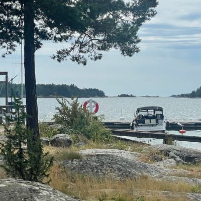 Svärdsklova