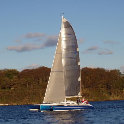Dragonfly 35