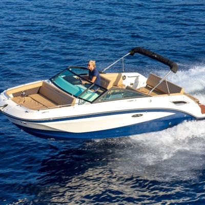 Sea Ray Sdx 250