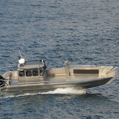 Arronet 30 Cc S Work