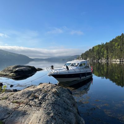 Scand 360 Ht