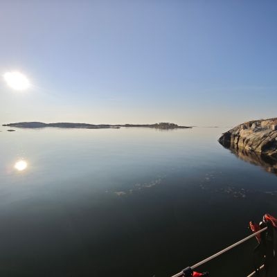 Lygna