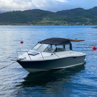 Bayliner 2159 Trophy Cuddy