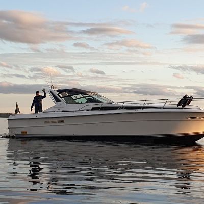 Sea Ray 390 Express Cruiser