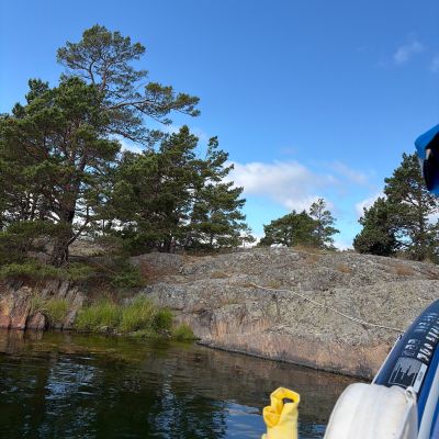 Lindskären