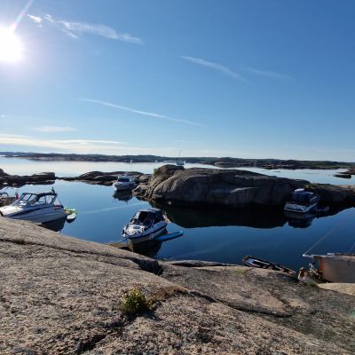 Tjällsö holme