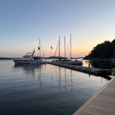 Hemviken
