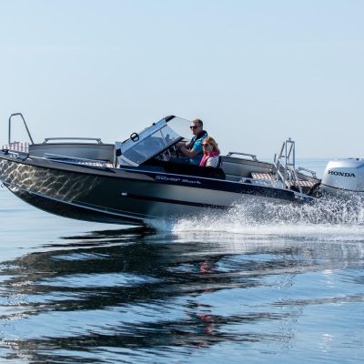 Silver Shark Brx