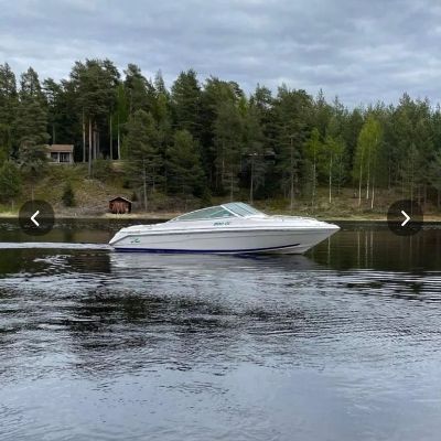 Sea Ray 200 Overnighter