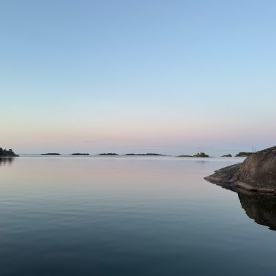 Lilla Trässö, Fågelskär