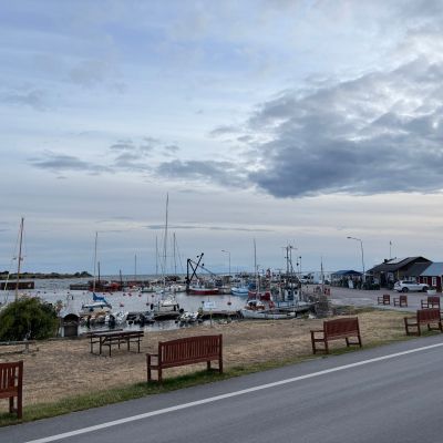 Sandvik