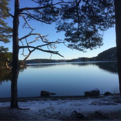 Sandviken