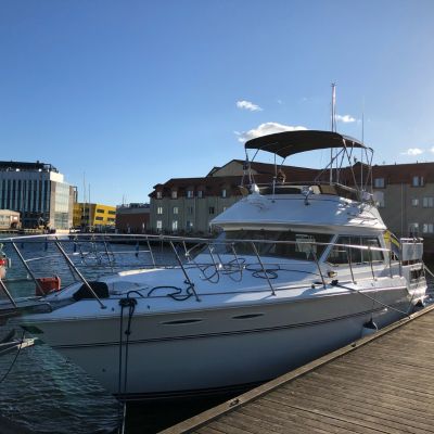 Sea Ray 360 Aft Cabin