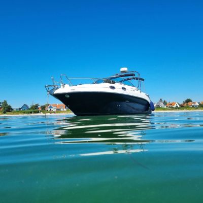 Sea Ray 255 Da Sundancer