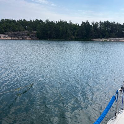 Äspskärsfladen