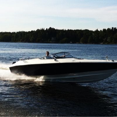 Flipper Flying Flipper