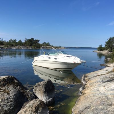 Sea Ray 240 Sundancer