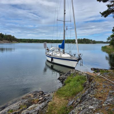 Bruksviken