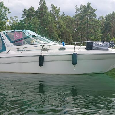 Sea Ray 290