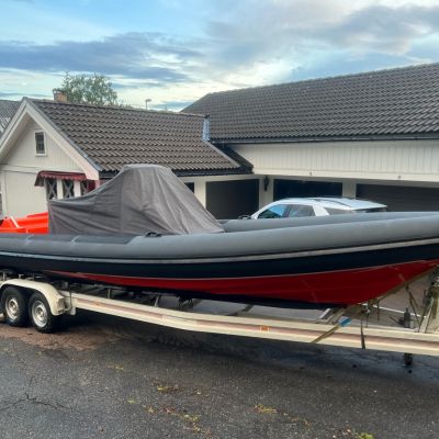 Goldfish 29 Rib