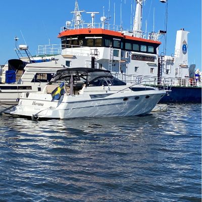 Bayliner 3450 Avanti Sunbridge